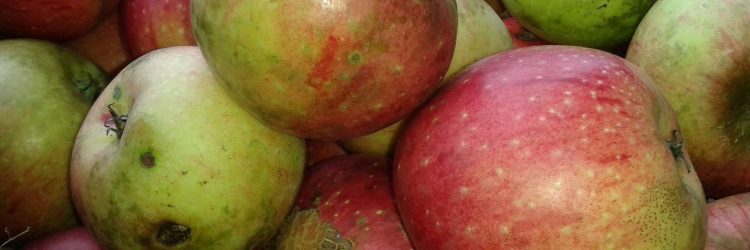 Agriturismo La Romagnana - nostri frutti