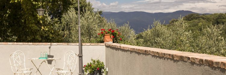 Agriturismo La Romagnana - l'aia