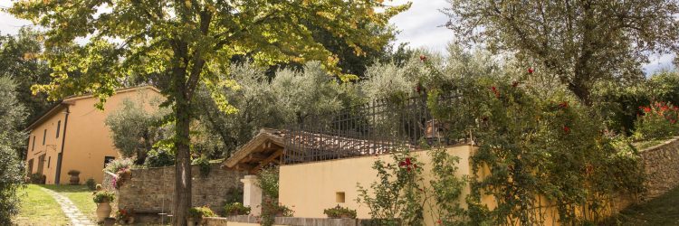 Agriturismo La Romagnana - esterno