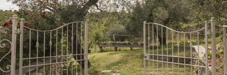 Agriturismo La Romagnana - giardino
