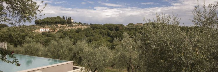 La Romagnana Agriturismo- panorama piscina