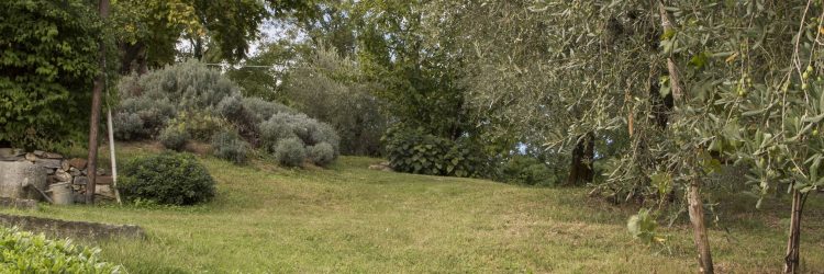 Agriturismo La Romagnana - giardino