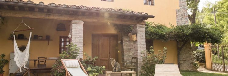 Agriturismo La Romagnana - giardino