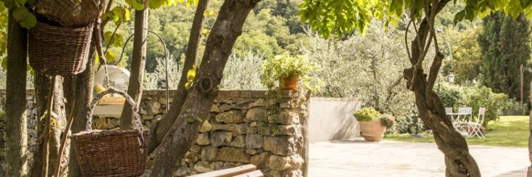 Agriturismo La Romagnana - giardino