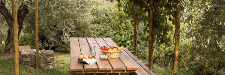 Agriturismo La Romagnana - giardino