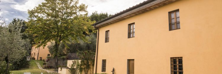 Agriturismo La Romagnana - spazio esterno