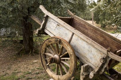 Agriturismo La Romagnana - carro antico