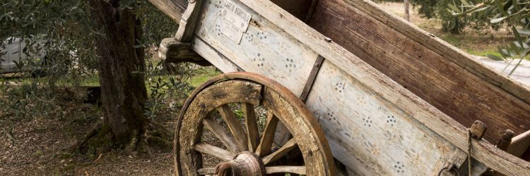 Agriturismo La Romagnana - carro antico