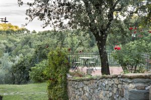 Agriturismo La Romagnana - terrazza