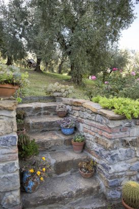 Agriturismo La Romagnana - scale in pietra