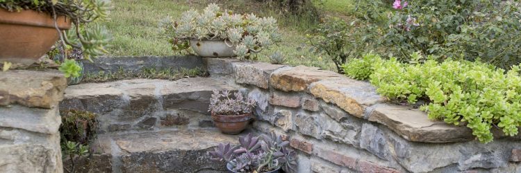 Agriturismo La Romagnana - scale in pietra