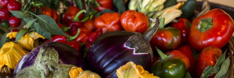 Agriturismo La Romagnana - verdure dellorto