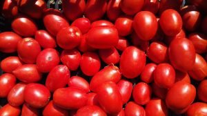 pomodori orto la romagnana