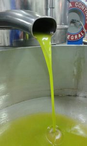 olio frantoio la romagnana