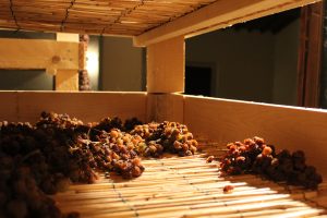 uva vinsanto la romagnana