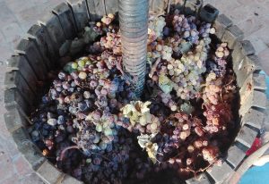 vinsanto la romagnana